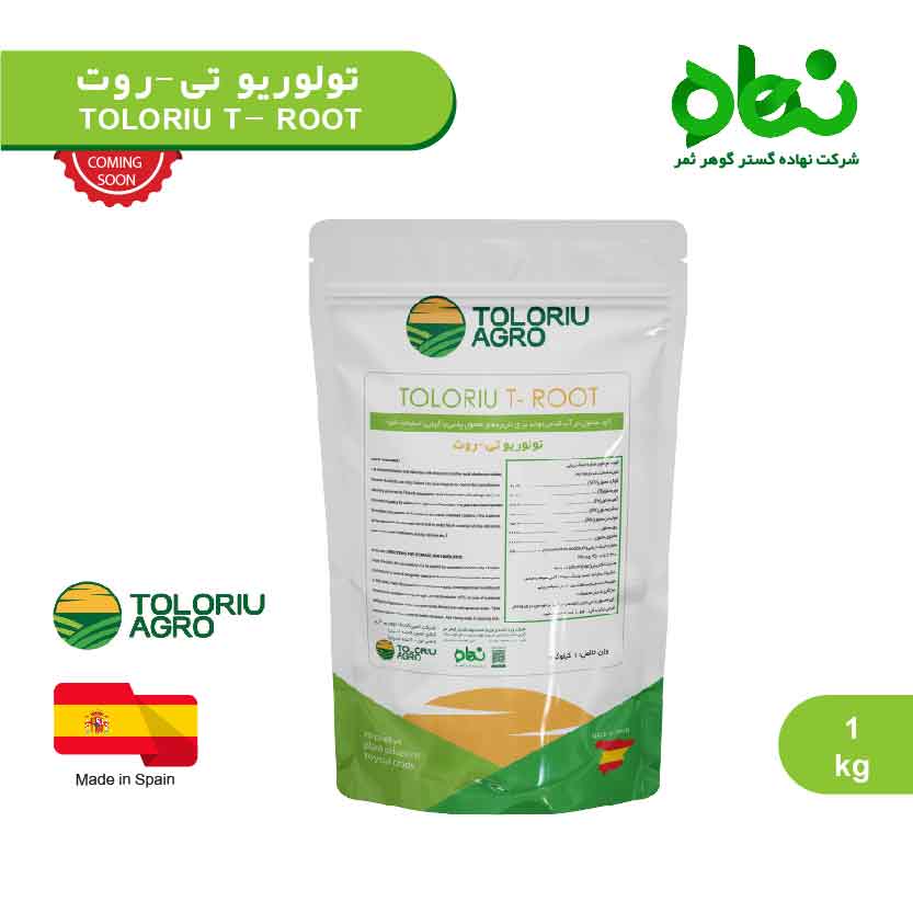 تولوریو تی - روت